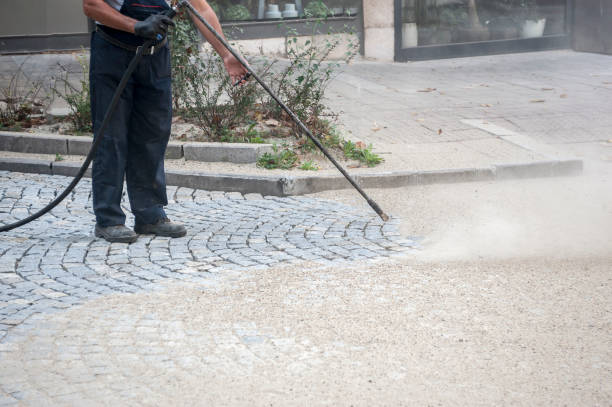 Professional Pressure Washing in Petersburg, MI